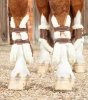Ochraniacze z owczą wełną Kevlar Techno Wool przody - PREMIER EQUINE - brown